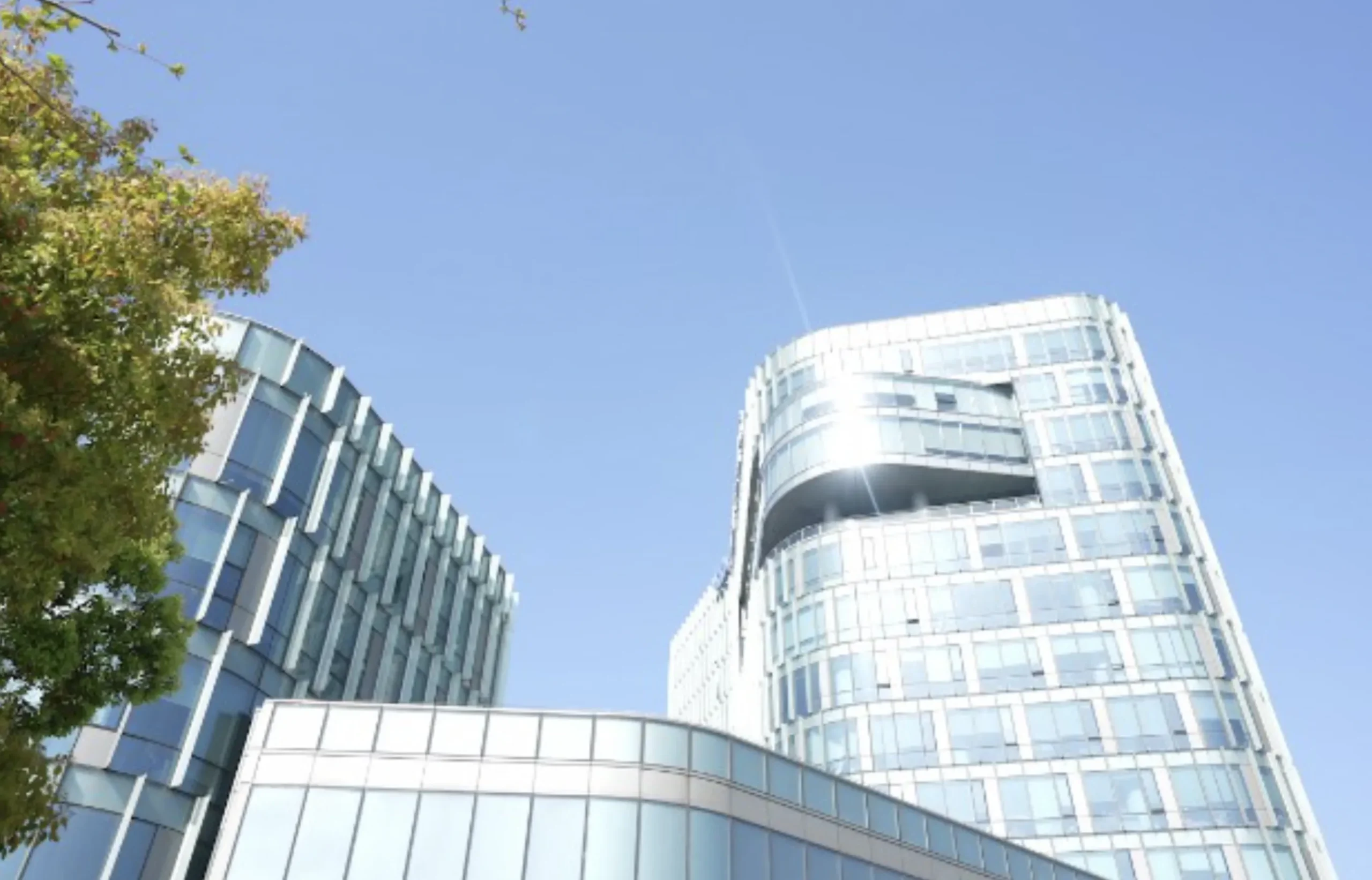 Shanghai Jinyou Fluorine Materials Co Ltd